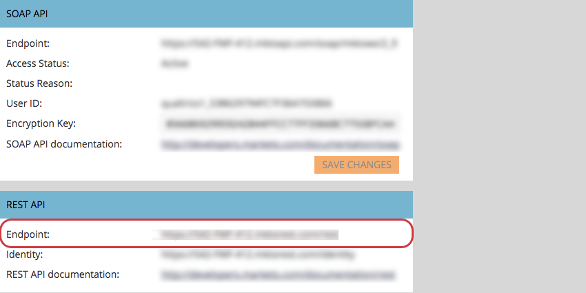 Find Endpoint under Rest API