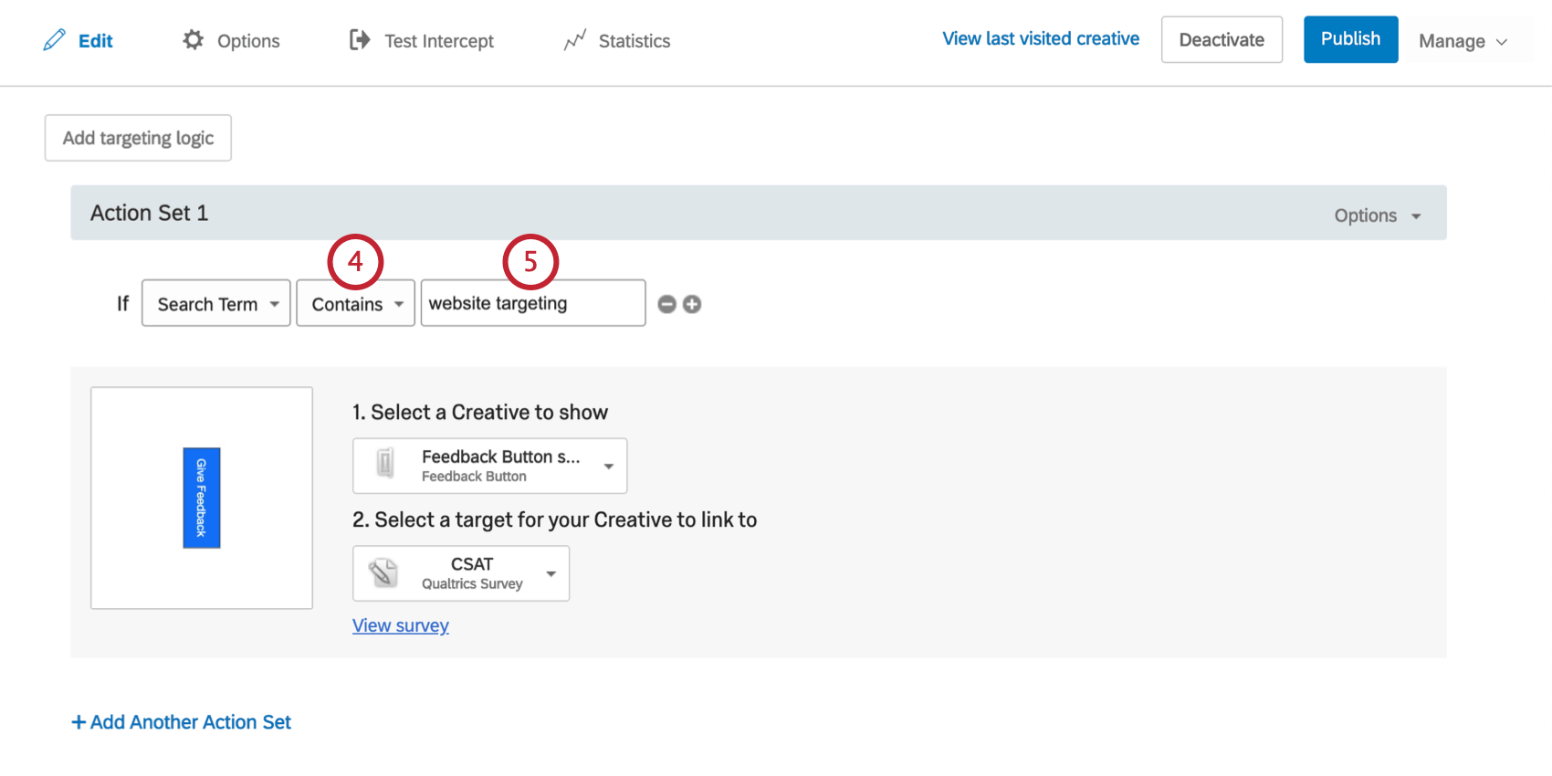 Condition says to show the Creative if the Search Term contains the phrase website targeting