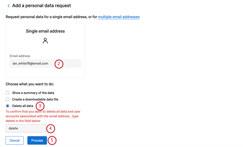 Large box where you can type one email address. Below that, multiple choice, first option is to show a summary. Then a field where you are asked to type delete. Then two buttons. Blue Process button is the second.