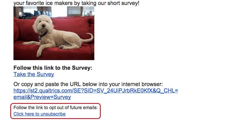Opt-out survey link found at the bottom of the email message