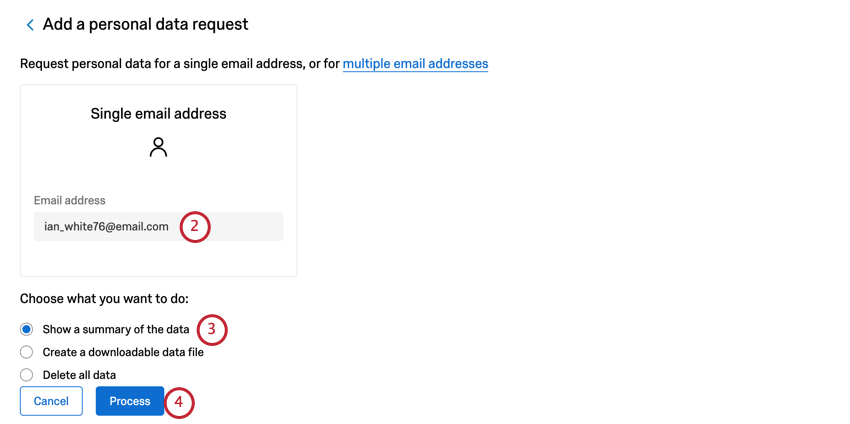 Large box where you can type one email address. Below that, multiple choice, first option is to show a summary. Then two buttons. Blue Process button is the second