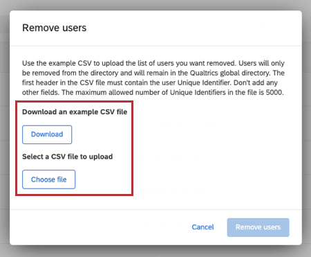 Example CSV file in the window