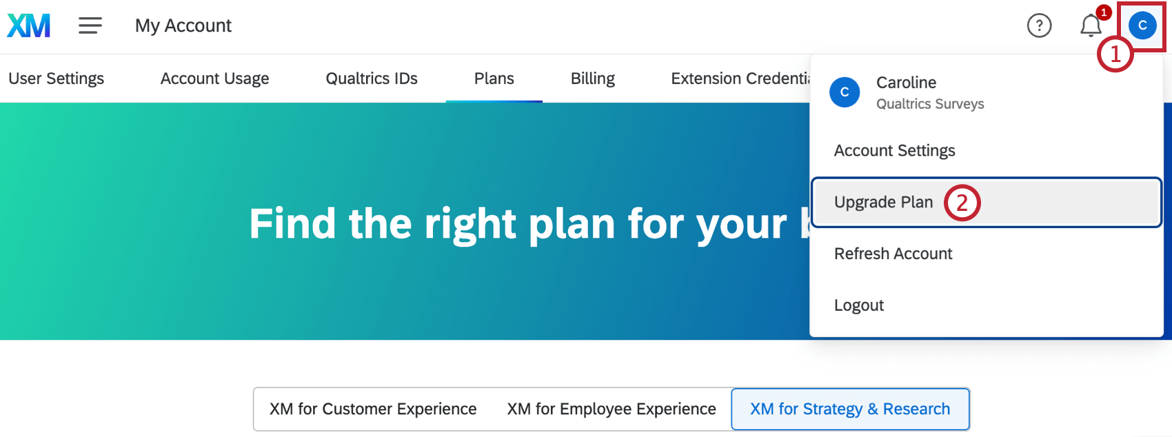 upgrade plan button