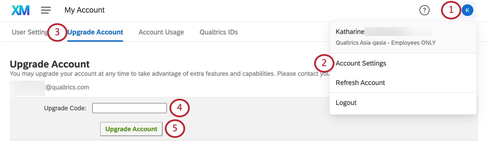 Upgrade Account tab within Account Settings page accessed through upper-right dropdown