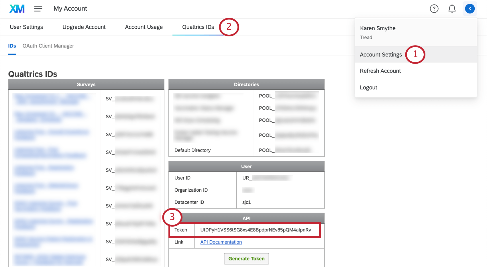 An image of the IDs section of your account settings, with the api token section highlighted