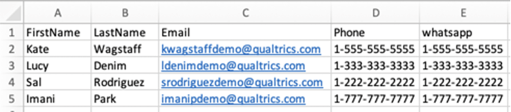 File with contacts. Shows corresponding phone and whatsapp fields